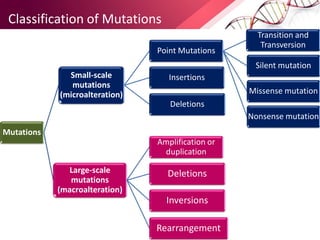 Classification of Mutations
Mutations
Small-scale
mutations
(microalteration)
Point Mutations
Transition and
Transversion
Silent mutation
Missense mutation
Nonsense mutation
Insertions
Deletions
Large-scale
mutations
(macroalteration)
Amplification or
duplication
Deletions
Inversions
Rearrangement
 