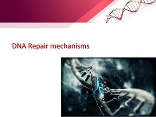 DNA Repair mechanisms
 