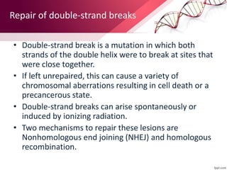 Repair of double-strand breaks
• Double-strand break is a mutation in which both
strands of the double helix were to break at sites that
were close together.
• If left unrepaired, this can cause a variety of
chromosomal aberrations resulting in cell death or a
precancerous state.
• Double-strand breaks can arise spontaneously or
induced by ionizing radiation.
• Two mechanisms to repair these lesions are
Nonhomologous end joining (NHEJ) and homologous
recombination.
 