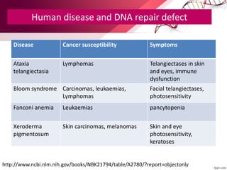 Human disease and DNA repair defect
Disease Cancer susceptibility Symptoms
Ataxia
telangiectasia
Lymphomas Telangiectases in skin
and eyes, immune
dysfunction
Bloom syndrome Carcinomas, leukaemias,
Lymphomas
Facial telangiectases,
photosensitivity
Fanconi anemia Leukaemias pancytopenia
Xeroderma
pigmentosum
Skin carcinomas, melanomas Skin and eye
photosensitivity,
keratoses
http://www.ncbi.nlm.nih.gov/books/NBK21794/table/A2780/?report=objectonly
 