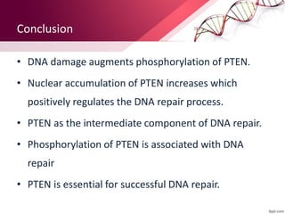 Conclusion
• DNA damage augments phosphorylation of PTEN.
• Nuclear accumulation of PTEN increases which
positively regulates the DNA repair process.
• PTEN as the intermediate component of DNA repair.
• Phosphorylation of PTEN is associated with DNA
repair
• PTEN is essential for successful DNA repair.
 