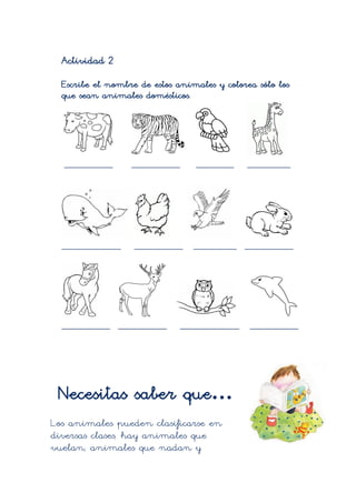 Actividad 2
  Escribe el nombre de estos animales y colorea sólo los
  que sean animales domésticos.




  _________       _________      _______      ________




  ___________      _________     ________ _________




  _________ _________         ___________     _________




 Necesitas saber que…
Los animales pueden clasificarse en
diversas clases, hay animales que
vuelan, animales que nadan y
 