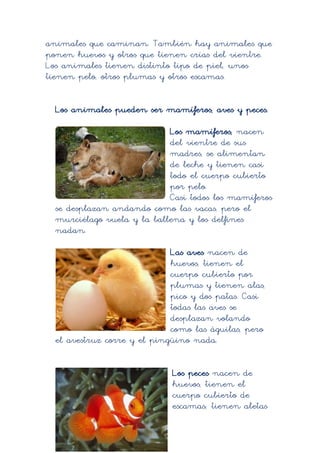 animales que caminan. También hay animales que
ponen huevos y otros que tienen crías del vientre.
Los animales tienen distinto tipo de piel, unos
tienen pelo, otros plumas y otros escamas.


  Los animales pueden ser mamíferos, aves y peces.

                            Los mamíferos, nacen
                            del vientre de sus
                            madres, se alimentan
                            de leche y tienen casi
                            todo el cuerpo cubierto
                            por pelo.
                            Casi todos los mamíferos
  se desplazan andando como las vacas, pero el
  murciélago vuela y la ballena y los delfines
  nadan.

                             Las aves nacen de
                             huevos, tienen el
                             cuerpo cubierto por
                             plumas y tienen alas,
                             pico y dos patas. Casi
                             todas las aves se
                             desplazan volando
                             como las águilas, pero
  el avestruz corre y el pingüino nada.


                             Los peces nacen de
                             huevos, tienen el
                             cuerpo cubierto de
                             escamas; tienen aletas
 