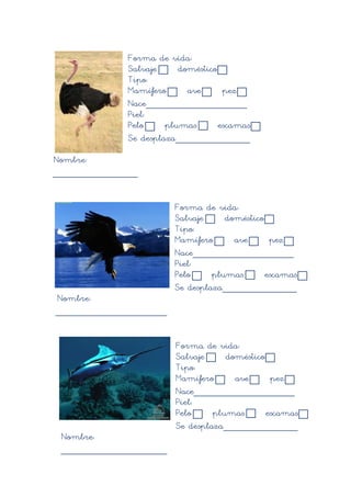 Forma de vida:
              Salvaje     doméstico
              Tipo:
              Mamífero      ave      pez
              Nace___________________
              Piel:
              Pelo     plumas       escamas
              Se desplaza______________

Nombre:
________________


                         Forma de vida:
                         Salvaje     doméstico
                         Tipo:
                         Mamífero      ave      pez
                         Nace___________________
                         Piel:
                         Pelo     plumas       escamas
                         Se desplaza______________
Nombre:
_____________________


                         Forma de vida:
                         Salvaje     doméstico
                         Tipo:
                         Mamífero      ave      pez
                         Nace___________________
                         Piel:
                         Pelo     plumas       escamas
                         Se desplaza______________
 Nombre:
 ____________________
 