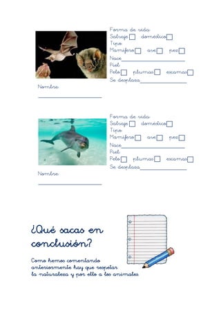 Forma de vida:
                             Salvaje     doméstico
                             Tipo:
                             Mamífero      ave      pez
                             Nace___________________
                             Piel:
                             Pelo     plumas       escamas
                             Se desplaza______________
  Nombre:
  ___________________


                             Forma de vida:
                             Salvaje     doméstico
                             Tipo:
                             Mamífero      ave      pez
                             Nace___________________
                             Piel:
                             Pelo     plumas       escamas
                             Se desplaza______________
  Nombre:
  ___________________




¿Qué sacas en
conclusión?
Como hemos comentando
anteriormente hay que respetar
la naturaleza y por ello a los animales.
 