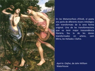 En les Metamorfosis d’Ovidi, el poeta ens parla de diferentséssersmitològicssóntransformats de la seva forma original. Una de les transformacions que va tenirmajortrascendèncialiterària, fou la de les dones transformades en arbres, com Mirra, les Helíades i Dafne.  Apol·lo i Dafne, de John William Waterhouse 