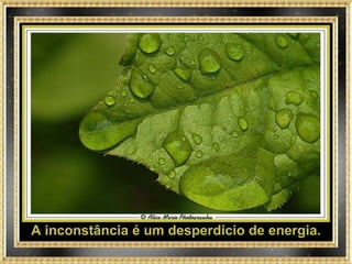 A inconstância é um desperdício de energia. 