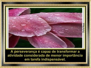 A perseverança é capaz de transformar a atividade considerada de menor importância em tarefa indispensável. 