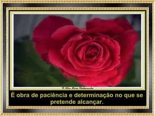É obra de paciência e determinação no que se pretende alcançar. 