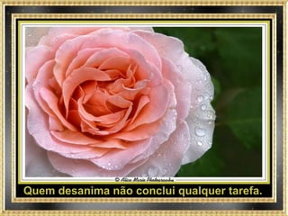 Quem desanima não conclui qualquer tarefa. 