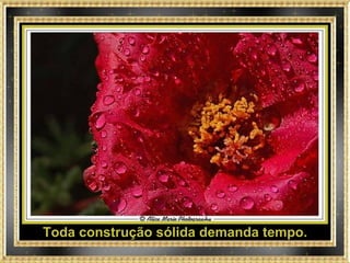 Toda construção sólida demanda tempo. 