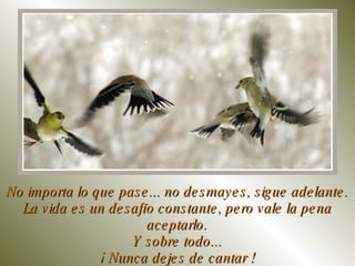 No importa lo que pase... no desmayes, sigue adelante. La vida es un desafío constante, pero vale la pena aceptarlo. Y sobre todo... ¡ Nunca dejes de cantar ! 