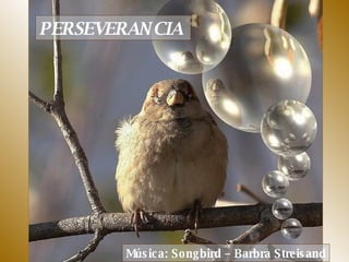 PERSEVERANCIA  Música: Songbird – Barbra Streisand 
