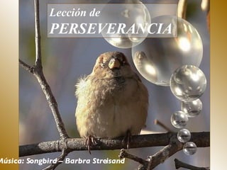 Lección de  PERSEVERANCIA   Música: Songbird – Barbra Streisand  