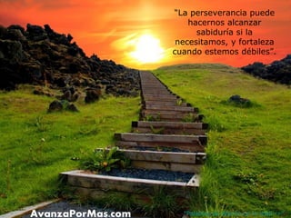 “La perseverancia puede
hacernos alcanzar
sabiduría si la
necesitamos, y fortaleza
cuando estemos débiles”.

“Palabras de Aliento en tu mail ->”

 