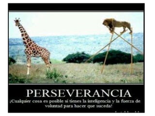 Perseverancia