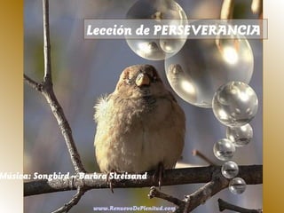 Lección de PERSEVERANCIA
Música: Songbird – Barbra Streisand
www.RenuevoDePlenitud.com
 