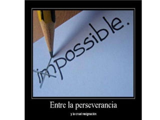 Perseverancia (1)