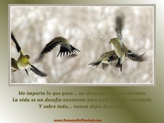 No importa lo que pase... no desmayes, sigue adelante.
La vida es un desafío constante pero vale la pena aceptarlo.
Y sobre todo... nunca dejes de cantar.
www.RenuevoDePlenitud.com

 