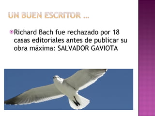 Richard Bach fue rechazado por 18 casas editoriales antes de publicar su obra máxima: SALVADOR GAVIOTA 