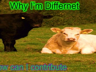 Why I’m Differnet
 