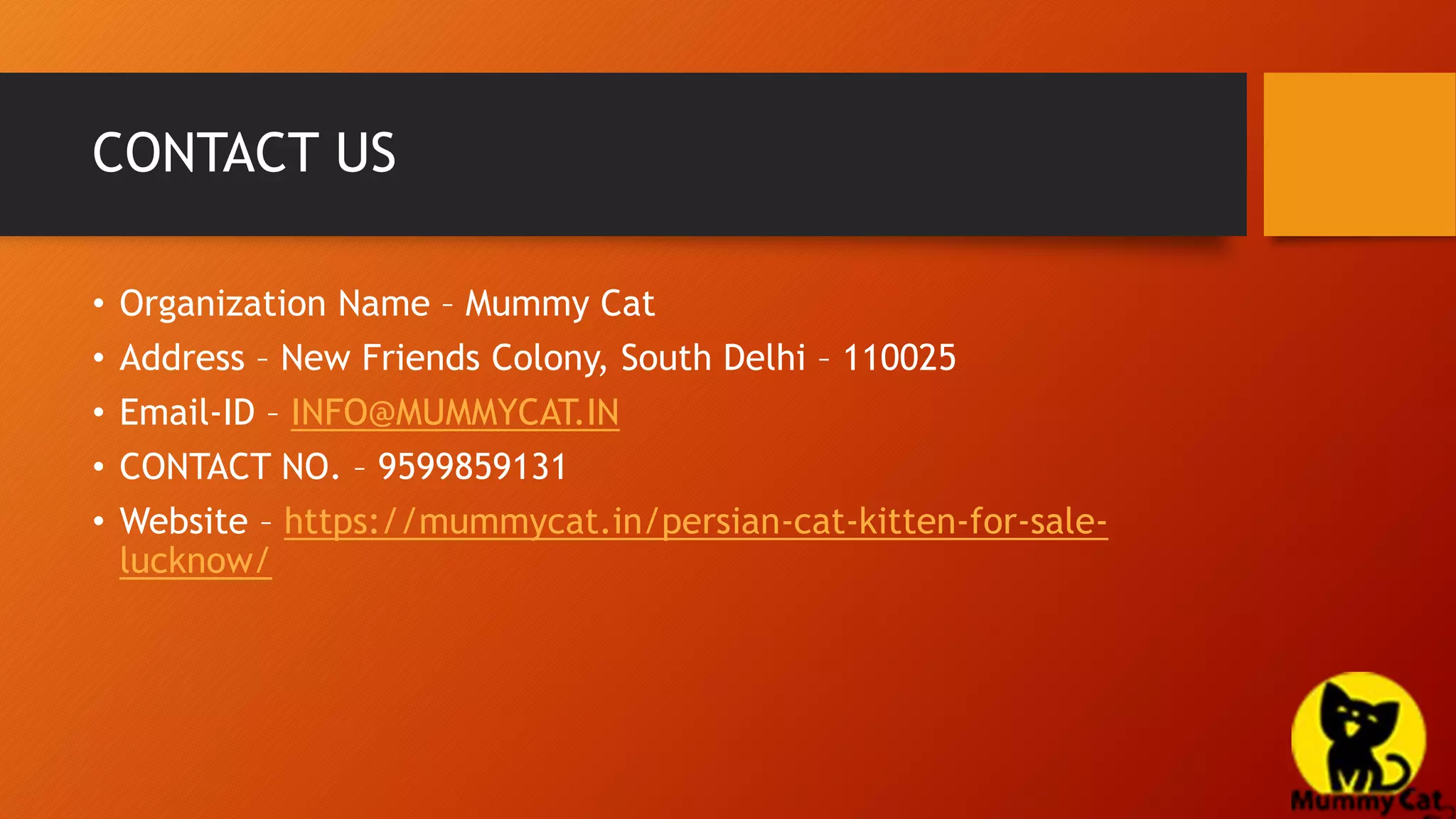 Persian cat in Lucknow.pptx