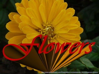 http://www.authorstream.com/Presentation/michaelasanda-1351536-persian-flowers/
 