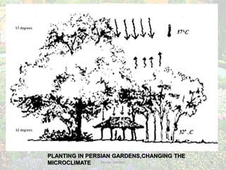 Persian Gardens 6
57 degrees
32 degrees
PLANTING IN PERSIAN GARDENS,CHANGING THE
MICROCLIMATE
 