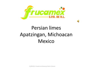 Persian limesApatzingan, MichoacanMexico 22/09/2011 Created and desingby Martin Olivarez 