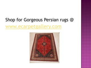 Shop for Gorgeous Persian rugs @
www.ecarpetgallery.com
 