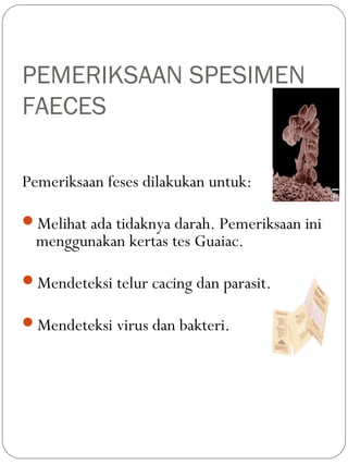 PEMERIKSAAN SPESIMEN
FAECES
Pemeriksaan feses dilakukan untuk:
Melihat ada tidaknya darah. Pemeriksaan ini
menggunakan kertas tes Guaiac.
Mendeteksi telur cacing dan parasit.
Mendeteksi virus dan bakteri.
 