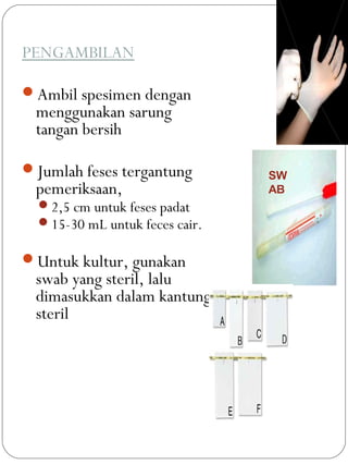 PENGAMBILAN
Ambil spesimen dengan
menggunakan sarung
tangan bersih
Jumlah feses tergantung
pemeriksaan,
2,5 cm untuk feses padat
15-30 mL untuk feces cair.
Untuk kultur, gunakan
swab yang steril, lalu
dimasukkan dalam kantung
steril
SW
AB
 