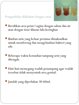 Pengambilan dilakukan dengan cara:
Bersihkan area penis/vagina dengan sabun dan air
atau dengan tisue khusus lalu keringkan
Biarkan urin yang keluar pertama dimaksudkan
untuk mendorong dan mengeluarkan bakteri yang
ada
Beberapa waktu kemudian tampung urin yang
ditengah.
Hati-hati memegang wadah penampung agar wadah
tersebut tidak menyentuh area genital.
Jumlah yang diperlukan 30-60mL
 