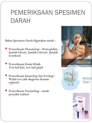 PEMERIKSAAN SPESIMEN
DARAH
Bahan Spesimen Darah digunakan untuk :
 Pemeriksaan Hematologi : Hemoglobin,
Jumlah lekosit, Jumlah eritrosit, Jumlah
trombosit
 Pemeriksaan Kimia Klinik
Test faal hati, test faal ginjal
 Pemeriksaan Imunologi dan Serologi :
Widal test (utk diagnosis demam
typhoid)
 Pemeriksaan Parasitologi : untuk
penyakit malaria
WIDAL
TEST
 