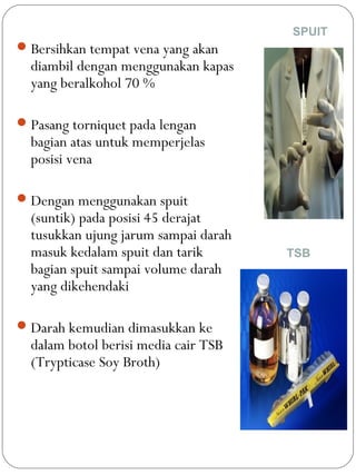 Bersihkan tempat vena yang akan
diambil dengan menggunakan kapas
yang beralkohol 70 %
Pasang torniquet pada lengan
bagian atas untuk memperjelas
posisi vena
Dengan menggunakan spuit
(suntik) pada posisi 45 derajat
tusukkan ujung jarum sampai darah
masuk kedalam spuit dan tarik
bagian spuit sampai volume darah
yang dikehendaki
Darah kemudian dimasukkan ke
dalam botol berisi media cair TSB
(Trypticase Soy Broth)
SPUIT
TSB
 