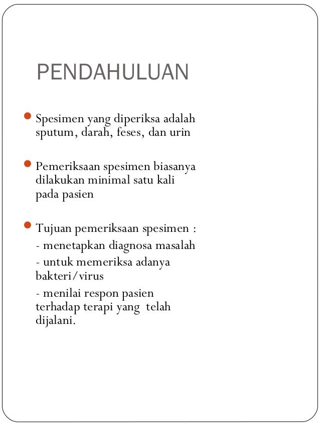 Persiapan Pengambilan Spesimen Bag 4