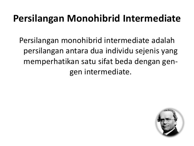 Persilangan monohibrid
