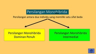 Persilangan Monohibrida
AAAA
Persilangan antara dua individu yang memiliki satu sifat beda
Persilangan Monohibrida
Dominan Penuh
Persilangan Monohibrida
Intermediat
 