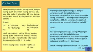 Contoh Soal
Pada persilangan antara kucing hitam dengan
kucing putih dihasilkan kucing berbulu abu-
abu. Jika pada F2 dihasilkan 12 ekor kucing,
berapa kah jumlah kuciing berbulu abu-abu
pada F2 ?
Jawab :
Persilangan semangka kuning (KK) dengan
semangka merah (kk) pada keturunan
pertamanya menghasilkan seluruhnya semangka
kuning. Jika antara F1 disilangkan sesamanya dan
menghasilkan 60 butir semangka. Berapa buah
semangka berwarna merah dihasilkan pada F2 ?
Dik : F2 = 12 ekor
F1 = Bulu ungu
Jumlah kucing
abu-abu pada
F2
Hasil perkawinan kucing hitam dengan
kucing putih melahirkan kucing abu-abu
berarti bersifat monohibrida intermediat
dengan rasio fenotif 1 : 2 : 1, maka :
Jumlah kucing warna abu-abu = 2/4 x 12
= 6 ekor
Dit :
Pys :
Hasil persilangan semangka kuning (KK) dengan
semangka merah (kk) pada keturunan
pertamanya menghasilkan seluruhnya semangka
kuning, ini berarti monohibrida dominan penuh
maka rasio fenotifnya = 3 : 1 sehingga :
Jumlah semangka berwarna merah = ¼ x 60 butir
= 15 butir
Jawab :
 