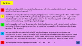 Latihan
Lord Aji merupakan petani cabai sukses yang mengelola lahan perkebunan hingga 10 hektar, Lord mencoba
menyilangkan cabai merah (MM) dengan cabai hijau (mm) dan menghasilkan keturunan yang bercabai
merah semua (F1), jika lord Aji menyilangkan sesama F1 dan dihasilkan sejumlah 10.000 cabai, maka
berapa jumlah cabai yang memiliki genotipe heterozigot?
Seorang petani bunga mawar ingin sekali ia membudidayakan tanaman tersebut dengan cara
menyilangkan varietas – varietas yang ada. Salah satunya ia menyilangkan mawar kuning dengan mawar
putih, namun ternyata semua tanaman F1 adalah mawar kuning muda. Apabila F1 disilangkan dengan
sesamanya maka akan diperoleh tanaman F2 yang memiliki perbandingan warna terbanyak adalah …
Kelinci berbulu kasar (KK) dominan disilangkan dengan kelinci berbulu halus (kk) resesif. Bagaimanakah
rasio fenotif dan genotifnya pada F2 ?
Tentukan gamet dari pasangan genotif berikut : Gg , HH , Rs , zz
Buah mangga berbuah besar dengan genotipe Bb disilangkan dengan buah mangga berbuah kecil yang
bergenotip bb. Buah mangga besar dominan terhadap buah mangga kecil. Tentukanlah perbandingan
genotipe F1 dan fenotipe F1 ?
1
2
3
4
5
 