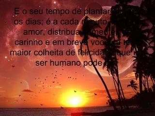 E o seu tempo de plantar é todos
os dias; é a cada minuto. Semeie
amor, distribua sementes de
carinho e em breve você irá ter a
maior colheita de felicidade que um
ser humano pode ter.
 