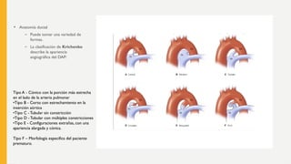 Krichenko Persistencia del Conducto Arterioso.pptx