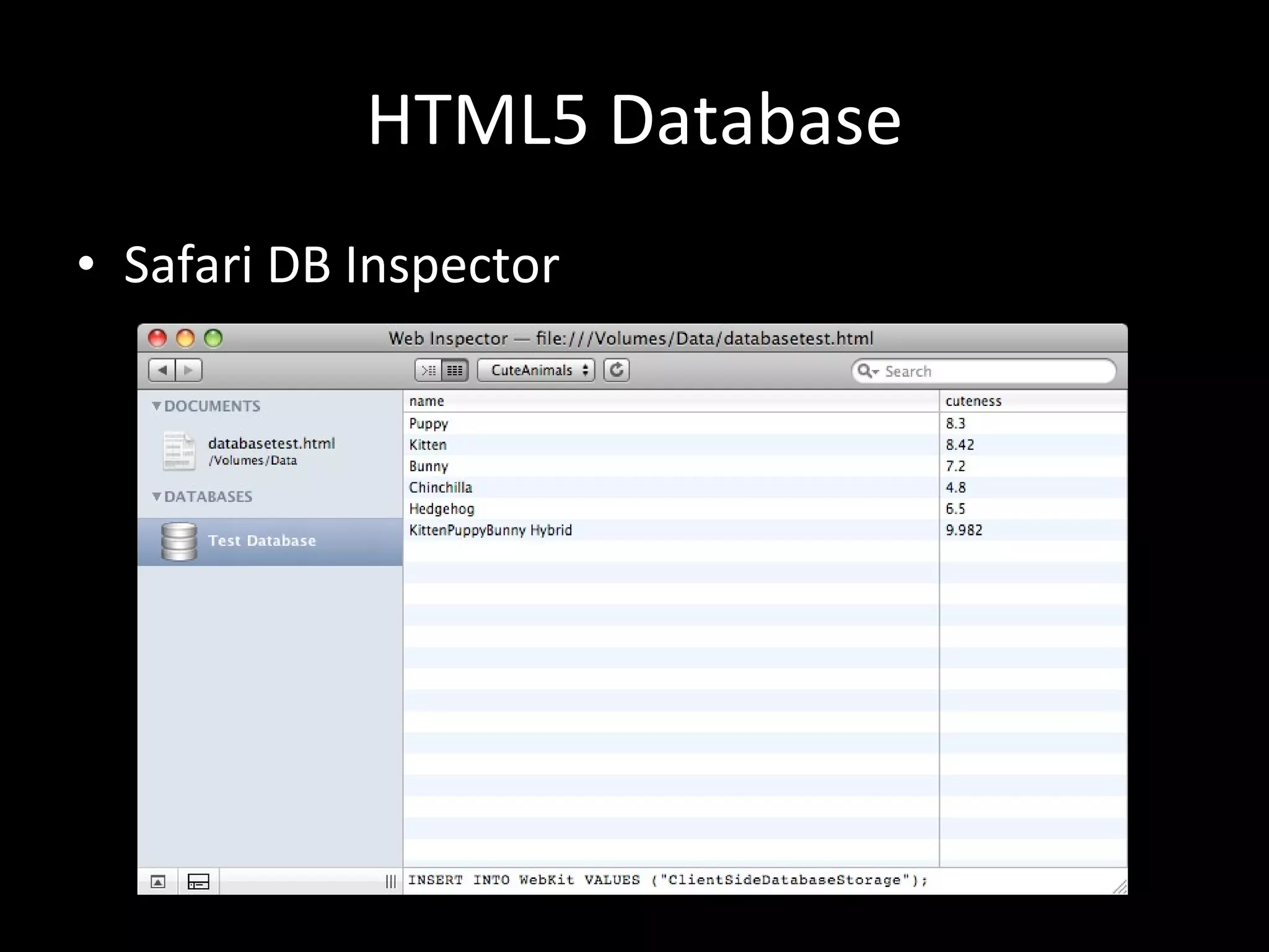 HTML5 Database Safari DB Inspector 