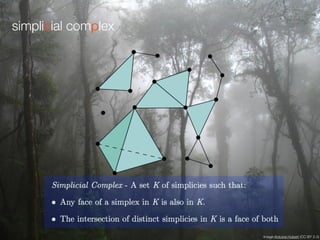 simplicial complex
Image:Antoine Hubert (CC BY 2.0)
 