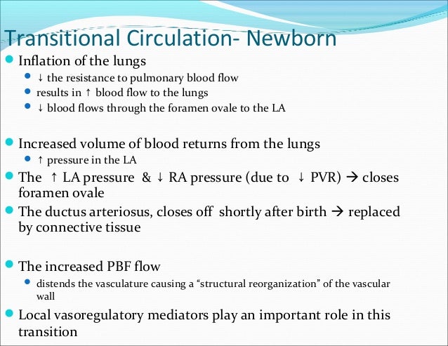 persistent pulmonary hypertension of the newborn pdf