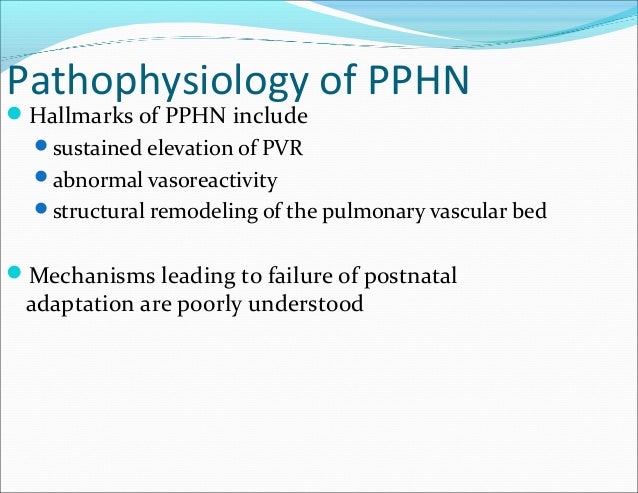persistent pulmonary hypertension by dr joshua petrikin neonatology persistent pulmonary hypertension of the newborn