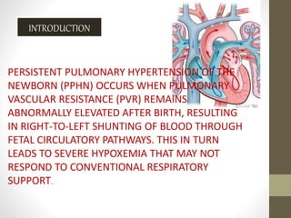Severe persistent pulmonary hypertension in a neonate with