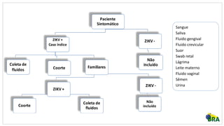 Paciente
Sintomático
ZIKV +
Caso índice
Coleta de
fluidos Coorte Familiares
ZIKV +
Coorte
Coleta de
fluidos
ZIKV -
Não
incluído
ZIKV -
Não
incluído
Sangue
Saliva
Fluido gengival
Fluido crevicular
Suor
Swab retal
Lágrima
Leite materno
Fluido vaginal
Sêmen
Urina
 