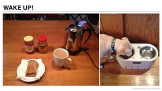 Online Workshop- A Day in the Life