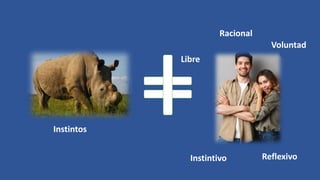 Instintos
Instintivo
Racional
Libre
Voluntad
Reflexivo
 